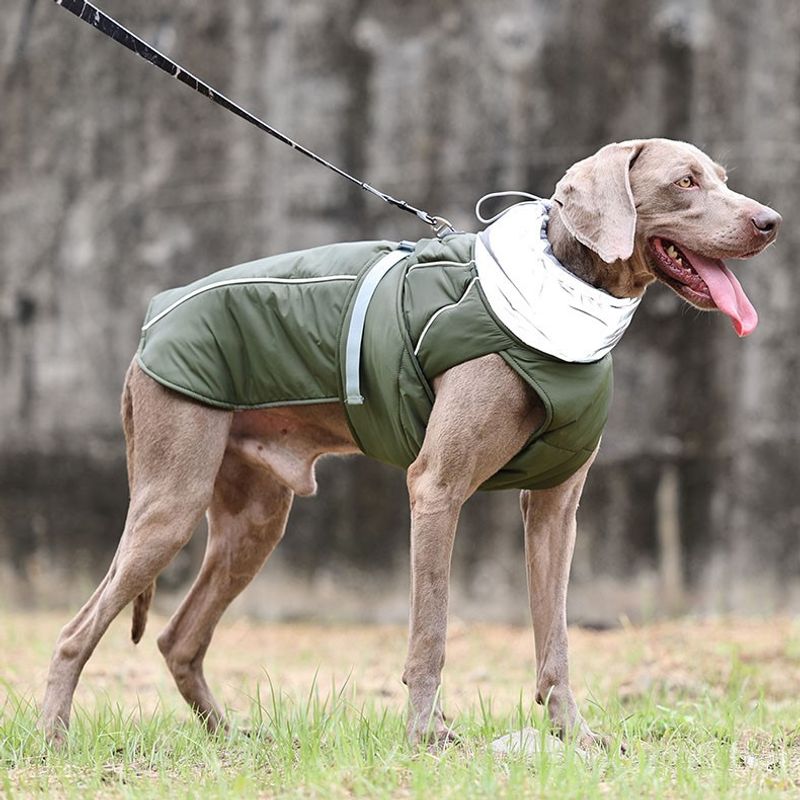 Militærgrønt vannavvisende varmt hundedekken med refleks