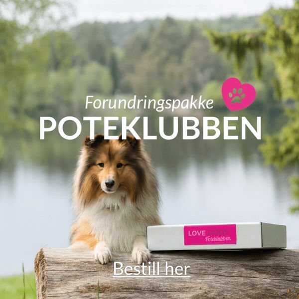 Hovedbilde Poteklubben Forundringspakke Hund
