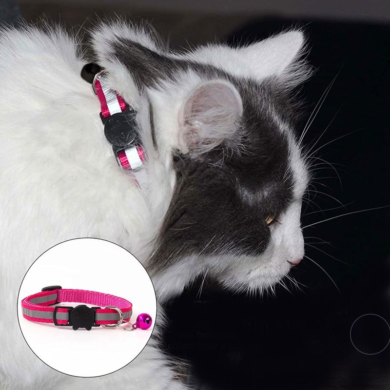Reflekshalsbånd til katt med slippspenne