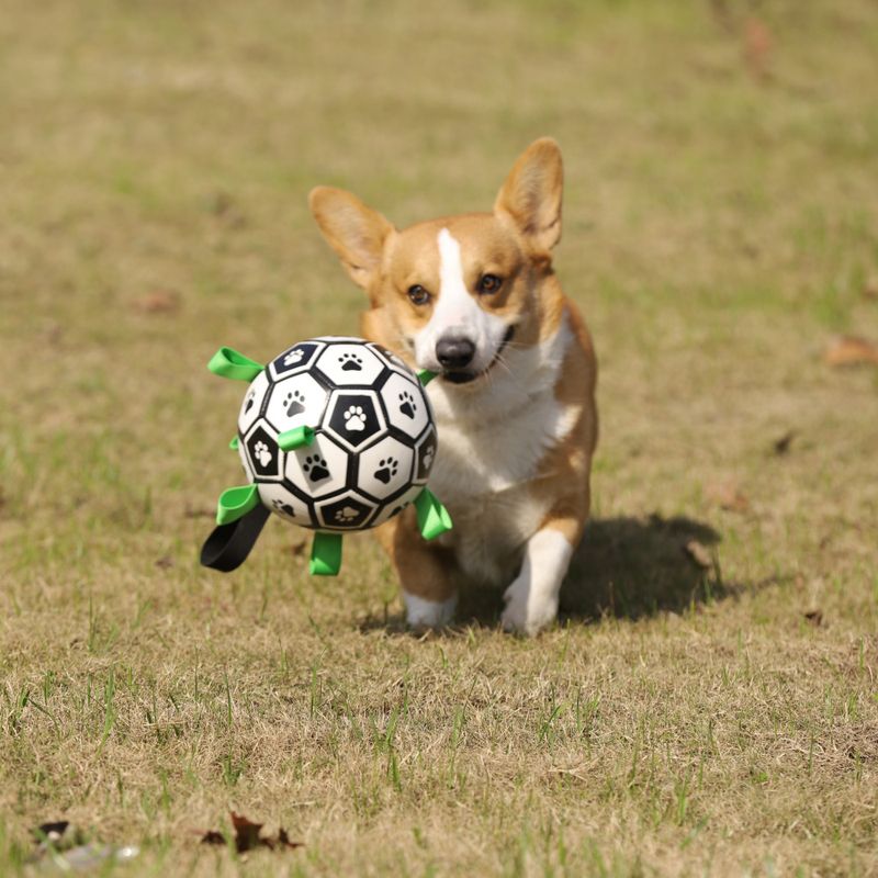 Oppblåsbar fotball til hund - solid, spretten ball for aktiv lek og trening, Ø: 15 cm