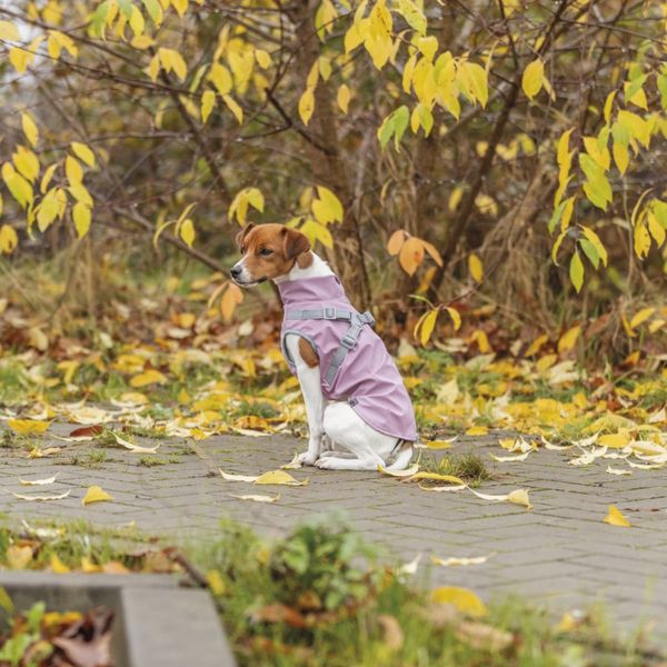 Hovedbilde Rosa regndekken med integrert sele til hund
