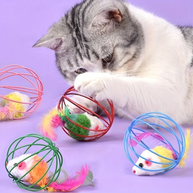 Hovedbilde Katteleke: Pelsmus i ballbur