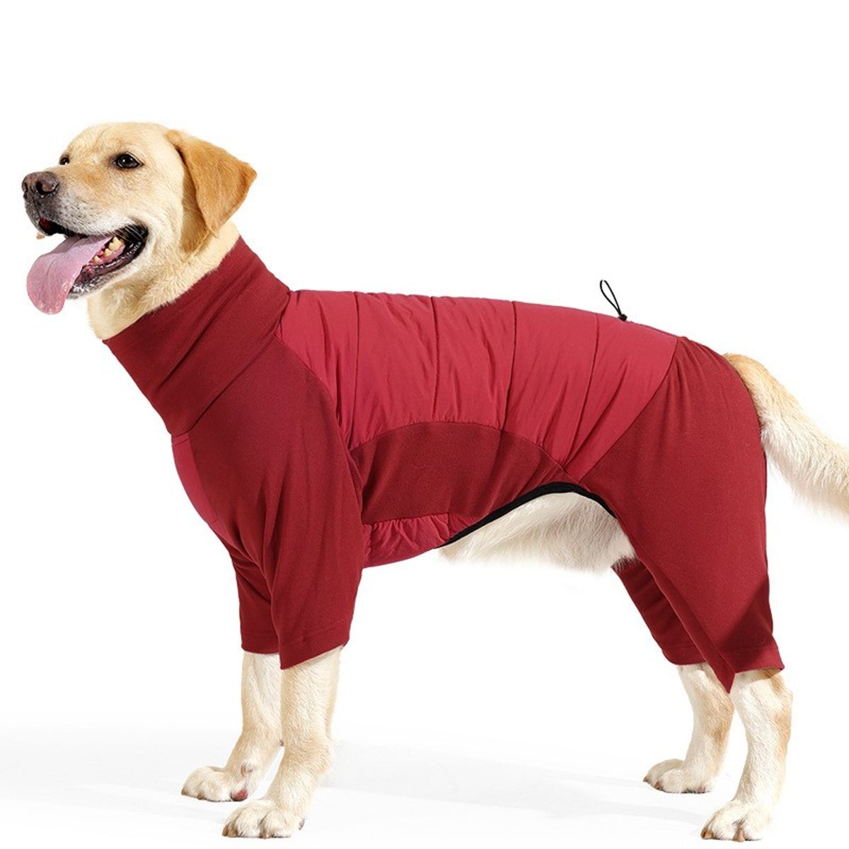 Rød heldress til hund