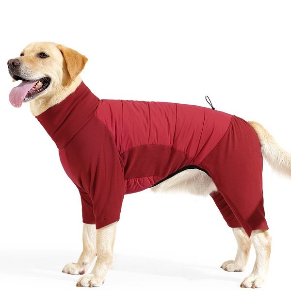 Hovedbilde Rød heldress til hund