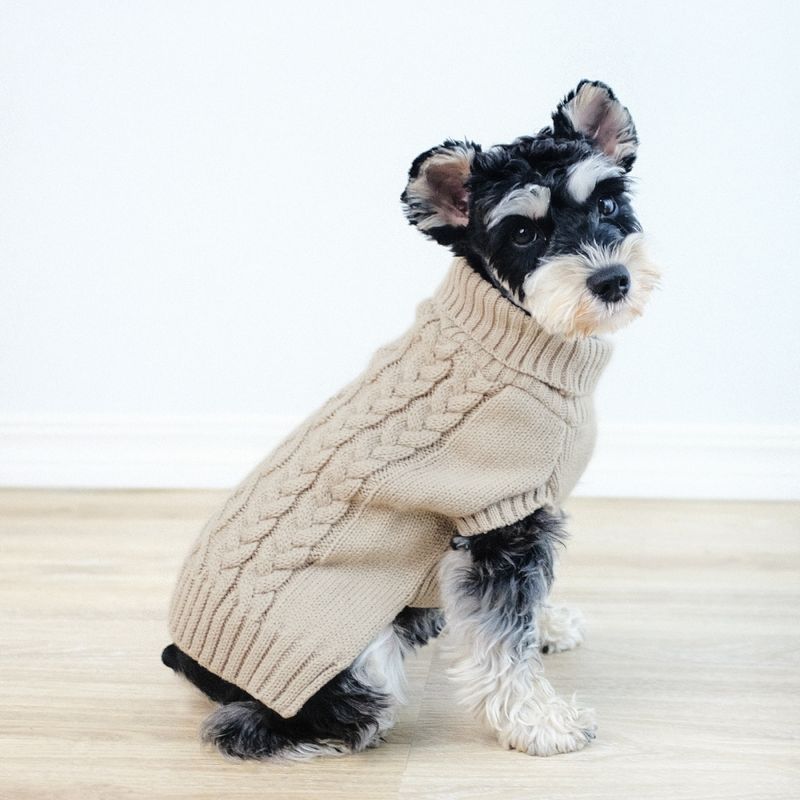 Beige strikket hundegenser 