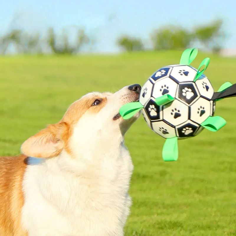 Oppblåsbar fotball til hund - solid, spretten ball for aktiv lek og trening, Ø: 15 cm